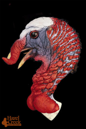 Painted Running Turkey Head