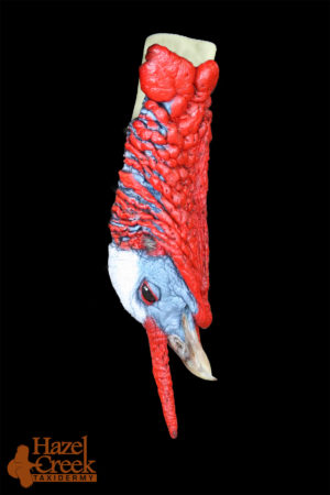 Painted Hanging Turkey Head