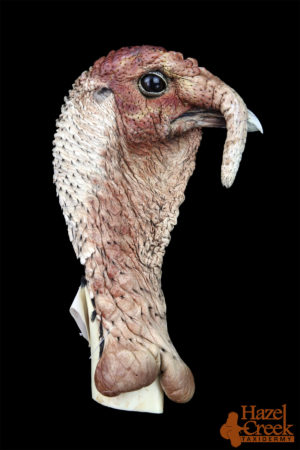 Unpainted Alert Turkey Head