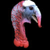 painted turkey head