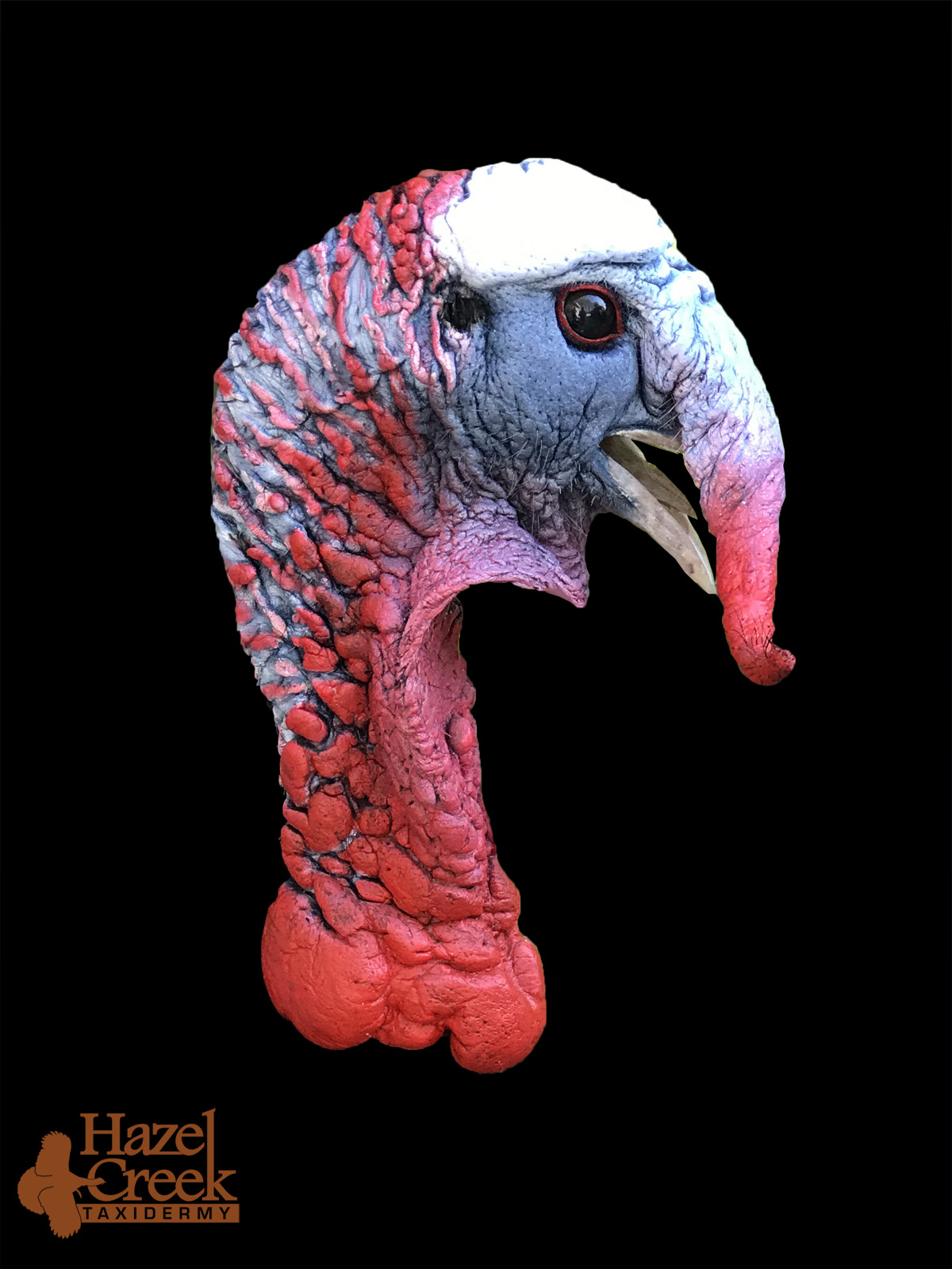 painted turkey head