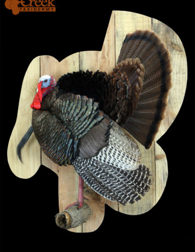 Half Turkey on Barnwood Panel