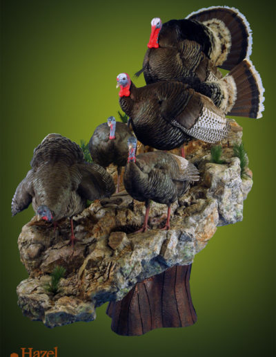 Five Turkeys on Rock Pedestal